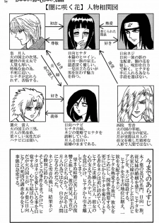 [Neji Hina no Sekai (Kuuya)] Yami ni Saku Hana IV (NARUTO) - page 2