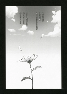 (C72) [Gensou Kuukan (Mizuhara Mei)] Tanpatsu Luke Junjou Hen (Tales of the Abyss) - page 22