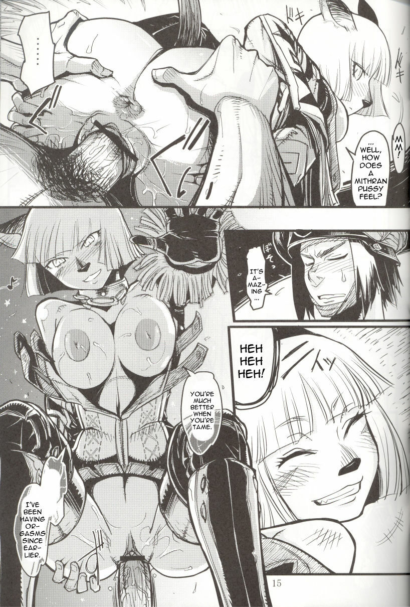 (C71) [Kuroshiki (Kurohiko)] Kuroshiki Vol. 5 (Final Fantasy XI) [English] [0405] page 15 full