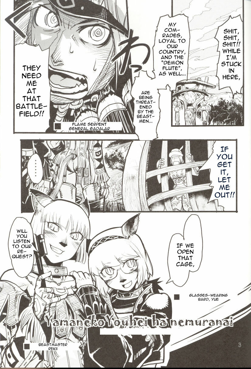 (C71) [Kuroshiki (Kurohiko)] Kuroshiki Vol. 5 (Final Fantasy XI) [English] [0405] page 3 full