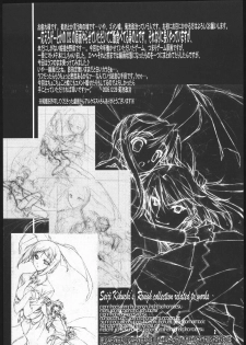 (C69) [American Kenpou (Kikuchi Seiji)] Oshigoto Kanren no Hon (Duel Savior, Baldr Force EXE) - page 3