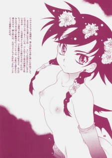(C72) [Honda Koumuten (Honda Arima)] Yososama Sairoku 4 (Mai-Otome) - page 3