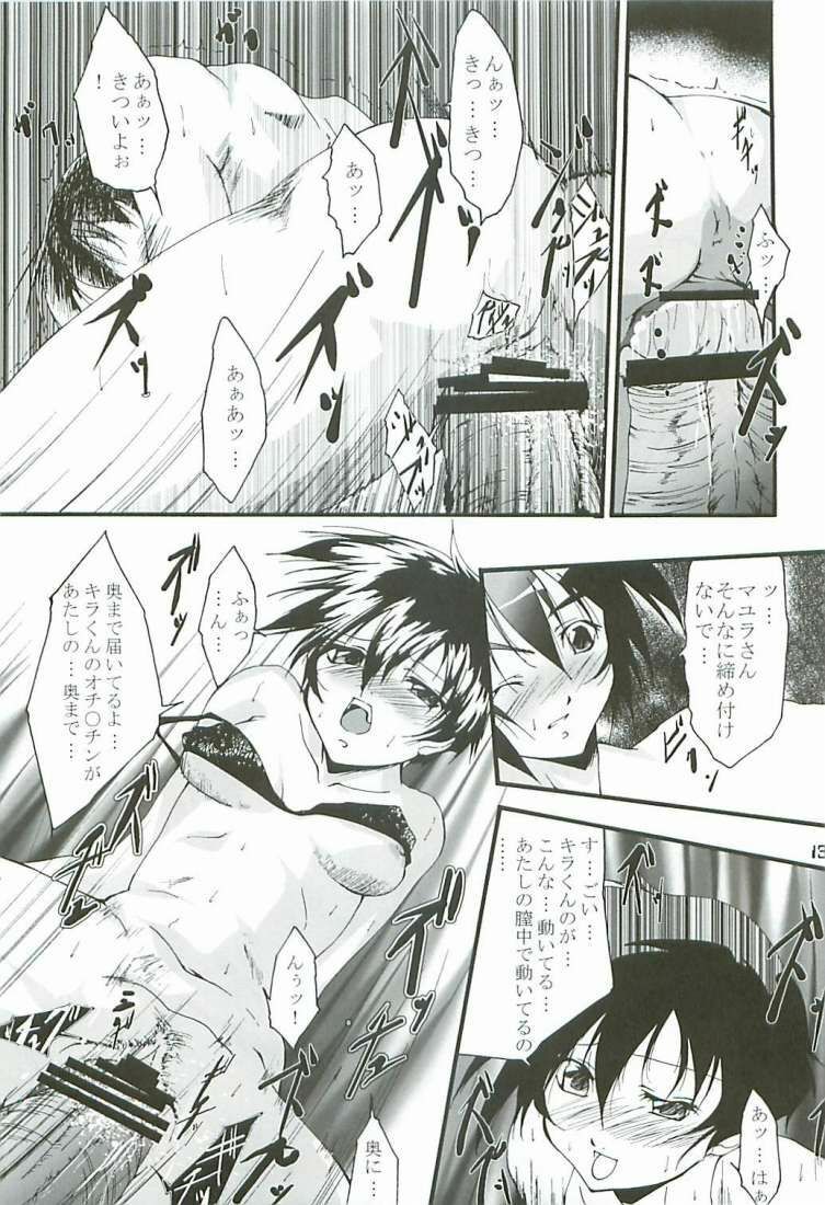 (C65) [Itsukidou (Touma Itsuki)] O3 (Gundam SEED) page 12 full