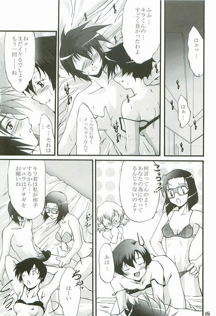 (C65) [Itsukidou (Touma Itsuki)] O3 (Gundam SEED) page 14 full