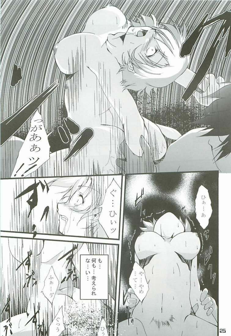 (C65) [Itsukidou (Touma Itsuki)] O3 (Gundam SEED) page 24 full