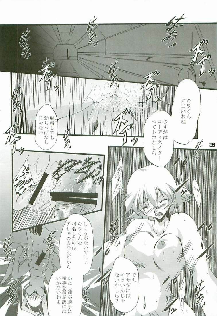 (C65) [Itsukidou (Touma Itsuki)] O3 (Gundam SEED) page 25 full