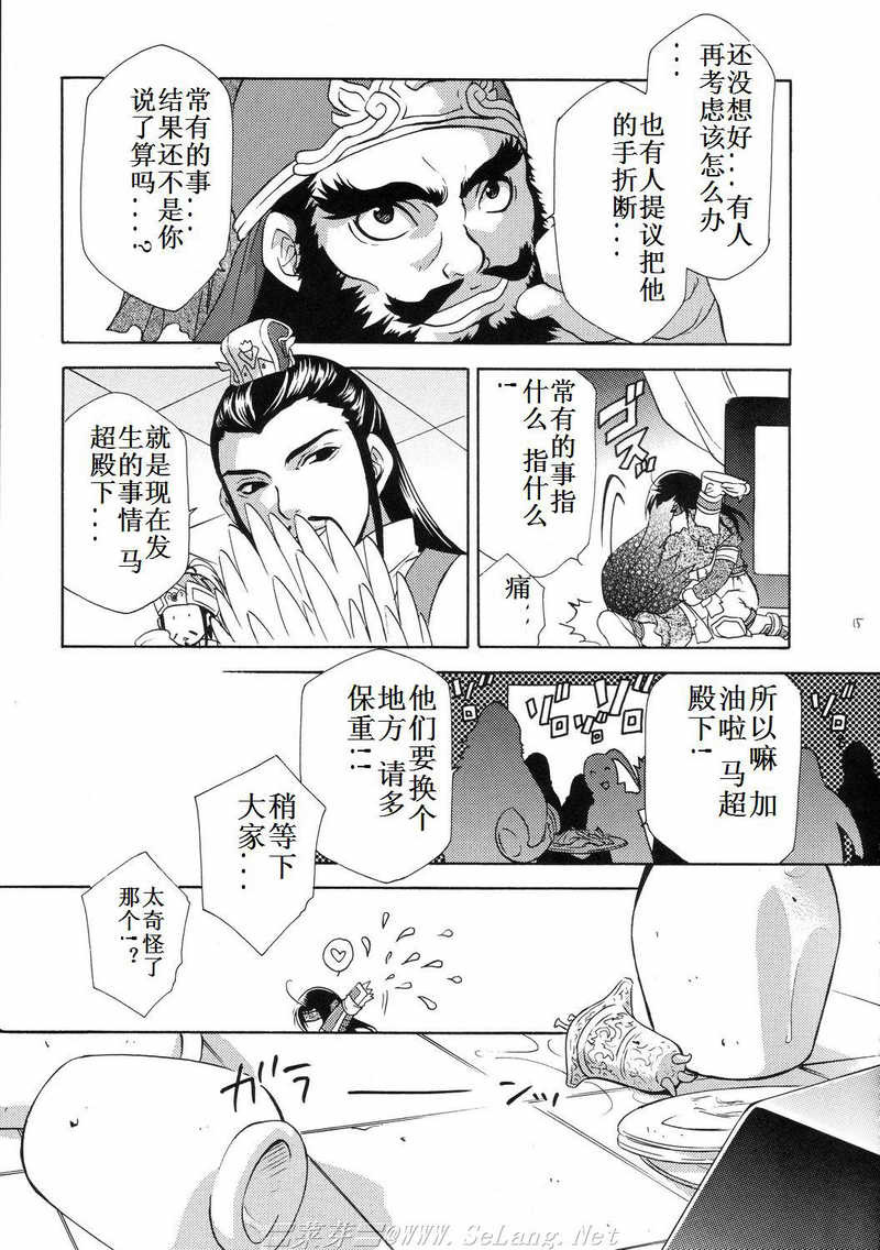 (C69) [Dark Water (Mikuni Saho, Tatsuse Yumino)] Seiryuu Ranbu 3 (Dynasty Warriors) [Chinese] page 14 full