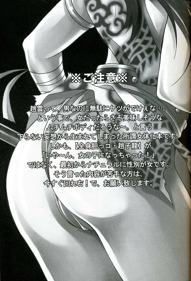 (C67) [Dark Water (Mikuni Saho, Tatsuse Yumino)] Seiryuu Ranbu (Dynasty Warriors) page 3 full