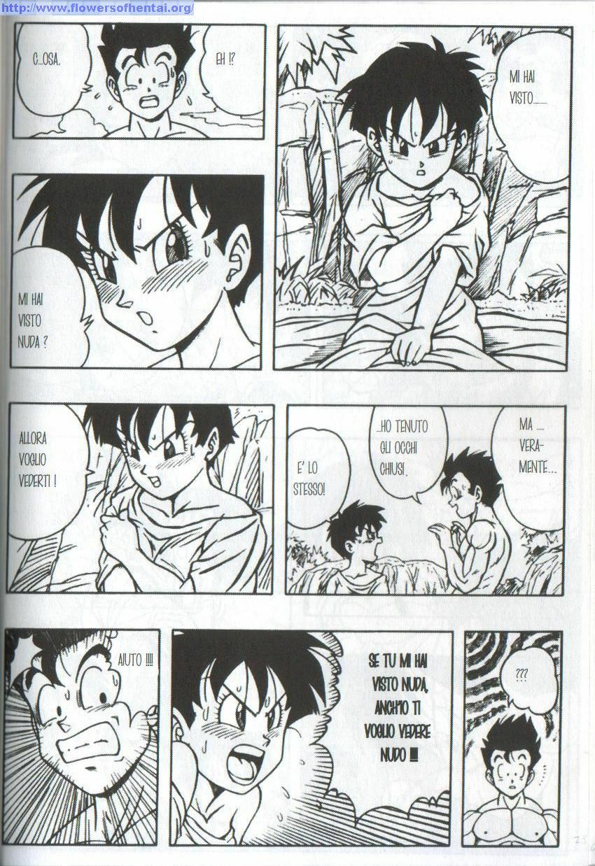 [Rehabilitation (Garland)] DRAGONBALL H Bessatsu Soushuuhen (Dragon Ball) [Italian] [Incomplete] page 30 full