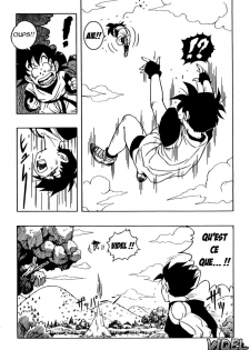 (C51) [Rehabilitation (Garland)] DRAGONBALL H Maki ni (Dragon Ball Z) [French] - page 5