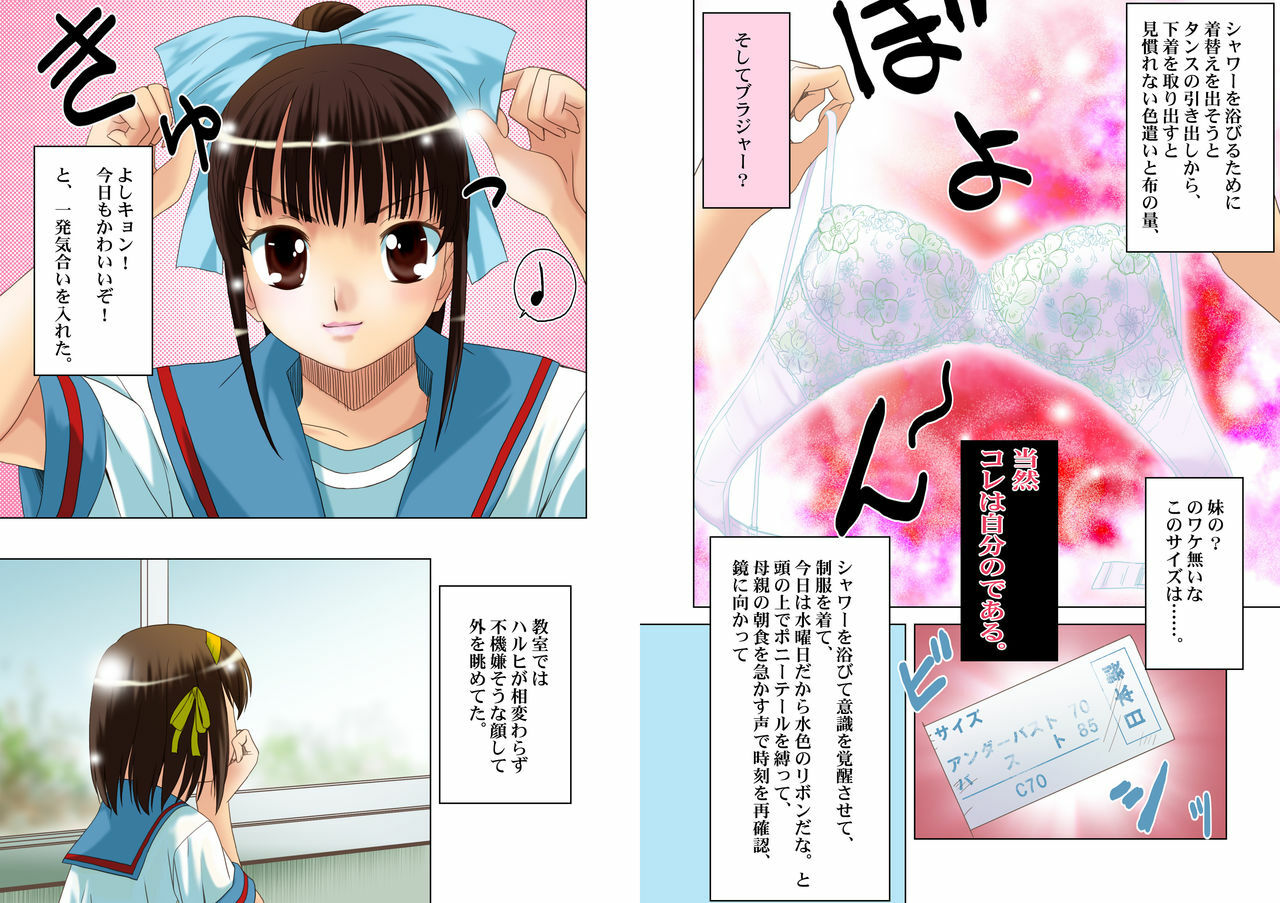 [Princess Project. (Sentape)] Suzumiya Haruhi no Hanten (Suzumiya Haruhi no Yuuutsu) [Digital] page 4 full