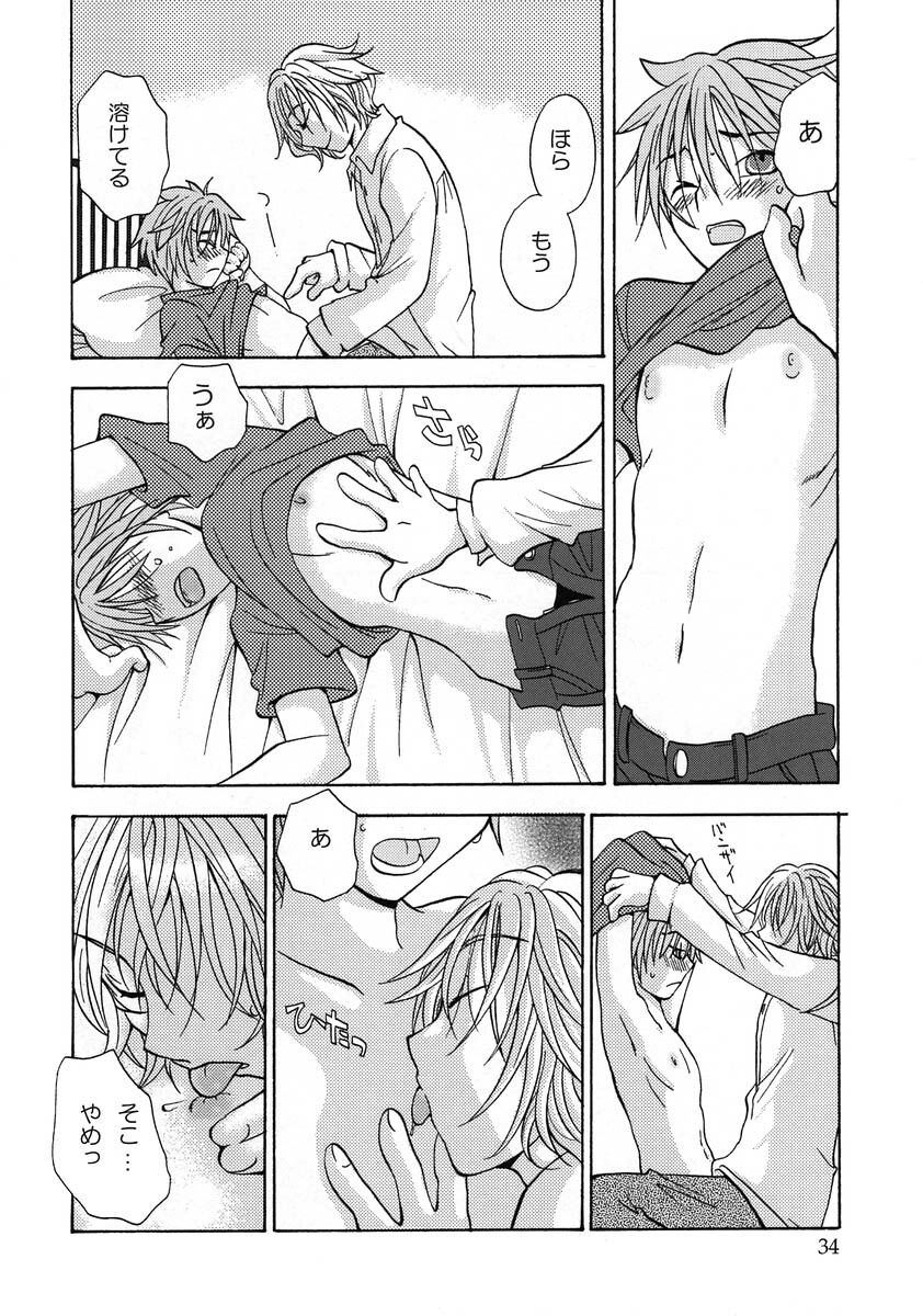 (Comic Castle 2005) [MICAN-DOU (Matsumoto Mican)] Yumemiru Kemono (Togainu no Chi) page 33 full