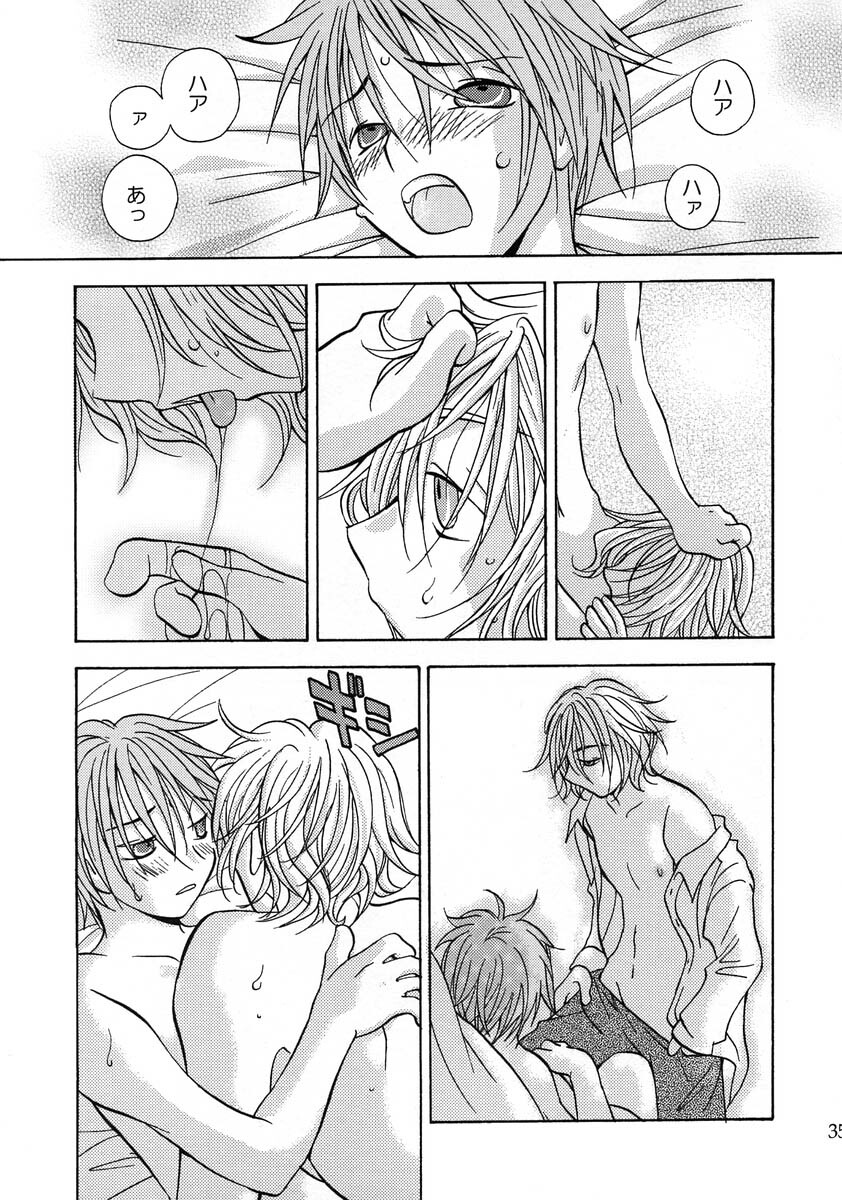 (Comic Castle 2005) [MICAN-DOU (Matsumoto Mican)] Yumemiru Kemono (Togainu no Chi) page 34 full