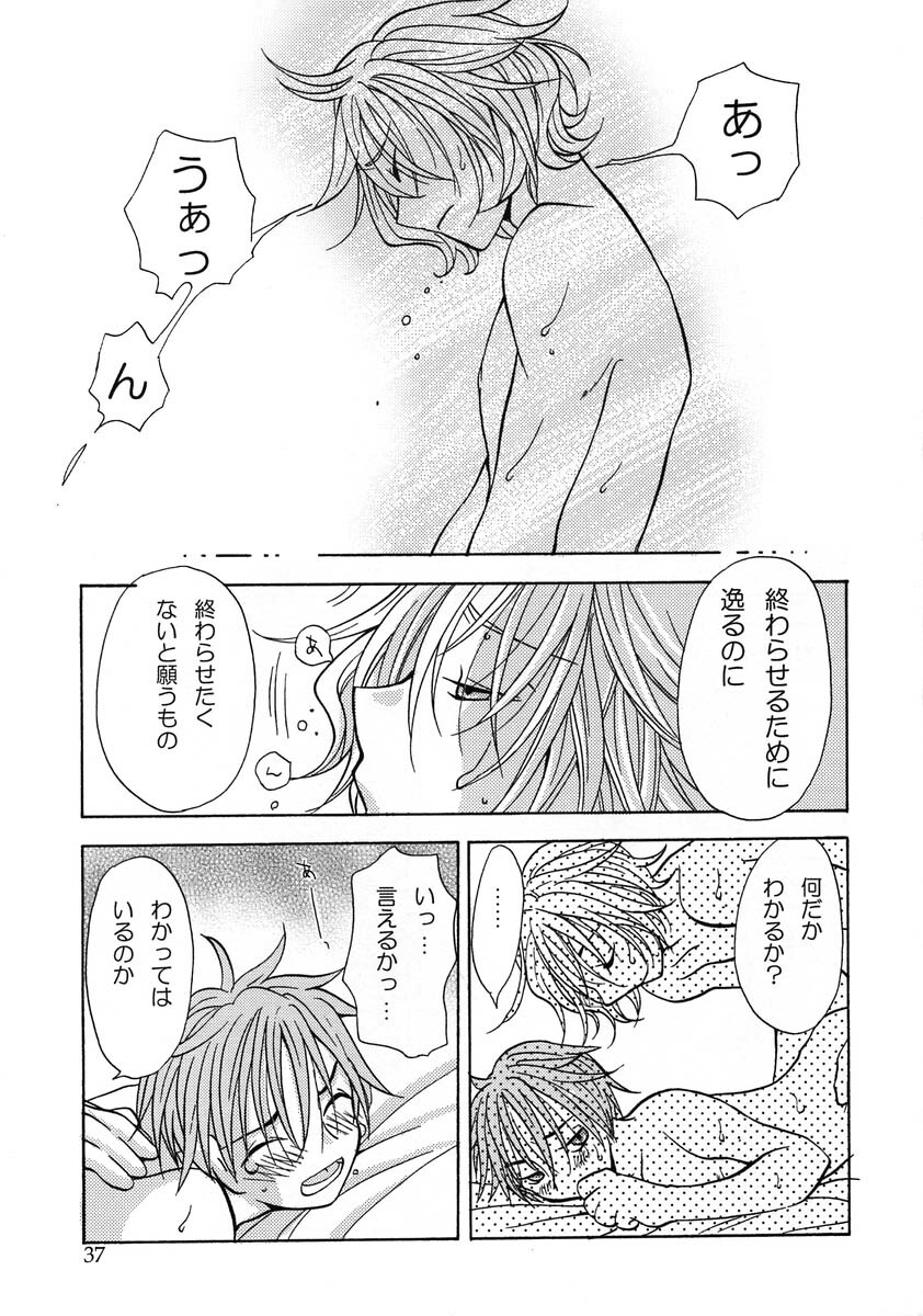 (Comic Castle 2005) [MICAN-DOU (Matsumoto Mican)] Yumemiru Kemono (Togainu no Chi) page 36 full