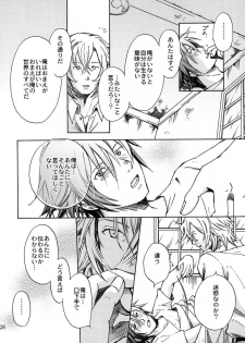 (Comic Castle 2005) [MICAN-DOU (Matsumoto Mican)] Yumemiru Kemono (Togainu no Chi) - page 27