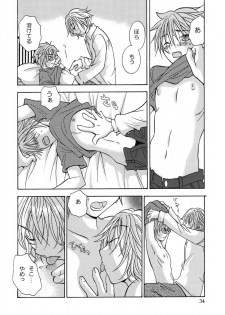 (Comic Castle 2005) [MICAN-DOU (Matsumoto Mican)] Yumemiru Kemono (Togainu no Chi) - page 33