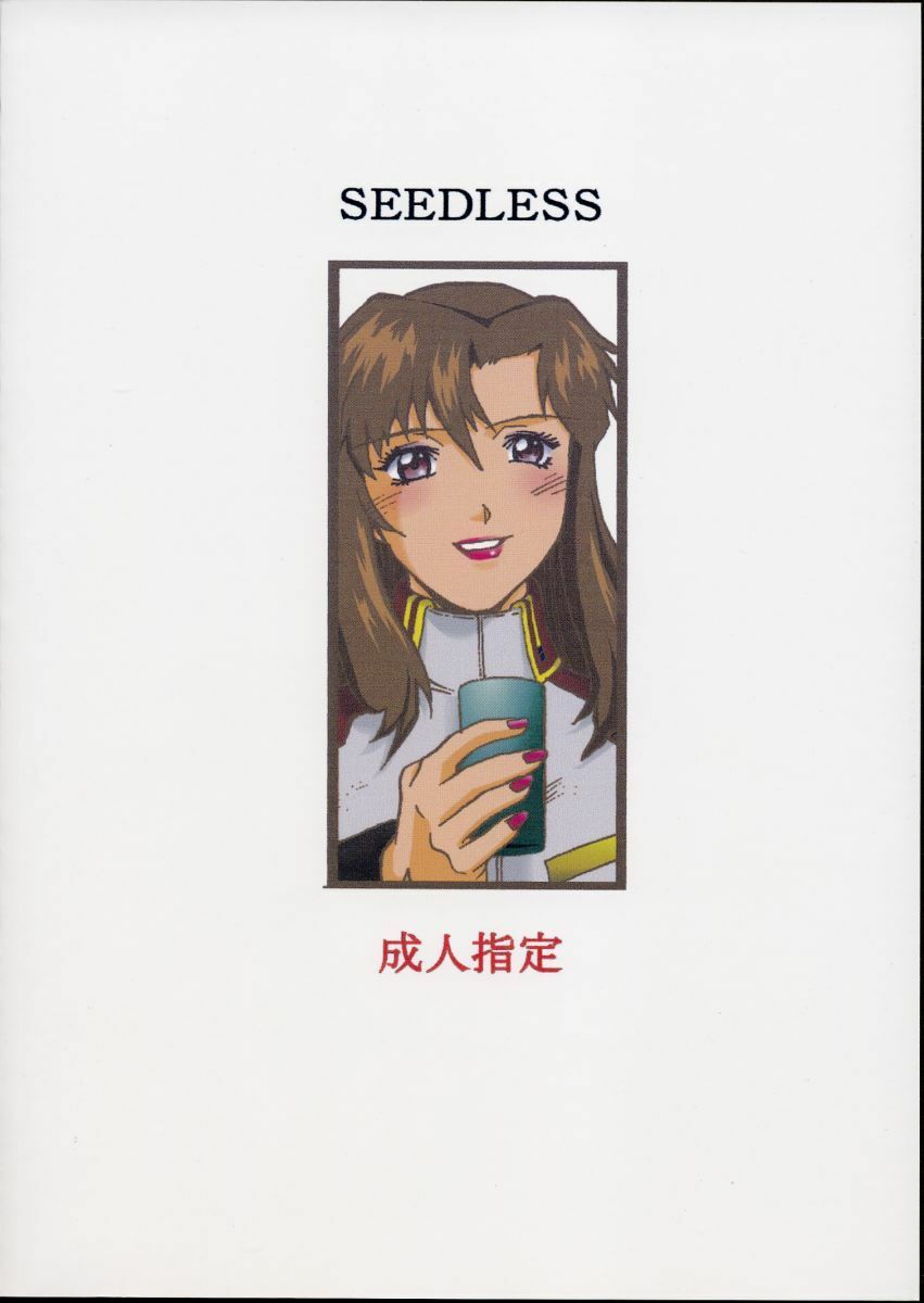 (CR33) [C.R.C (Don Shigeru)] SEEDLESS (Gundam SEED) page 26 full