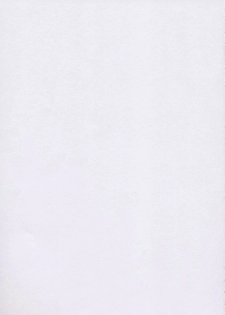 (CR33) [C.R.C (Don Shigeru)] SEEDLESS (Gundam SEED) - page 2