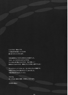 (C74) [Rengeza (Inui Nui)] Skyscraper (Touhou Project) - page 32