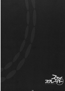 (C74) [Rengeza (Inui Nui)] Skyscraper (Touhou Project) - page 3