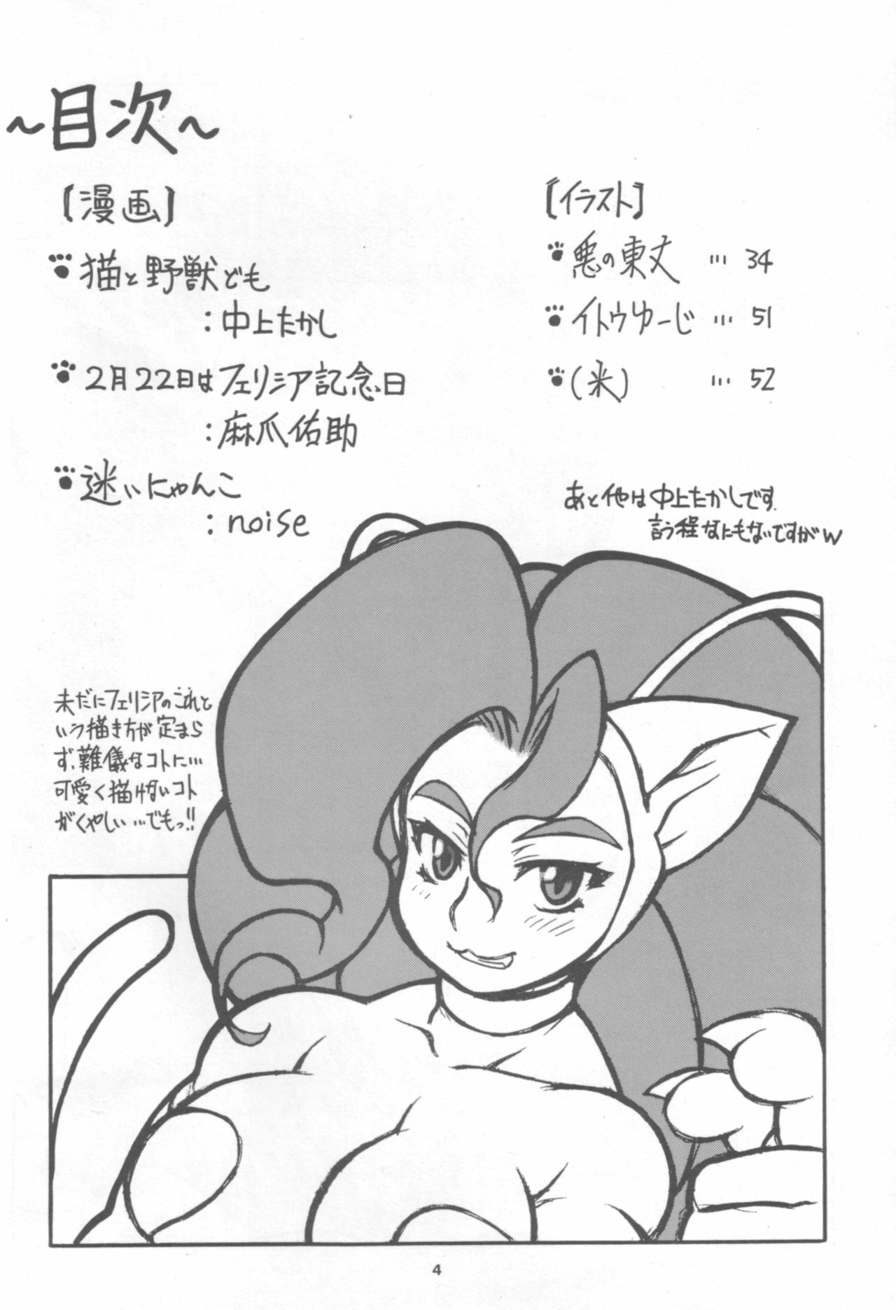 (C72) [Mayoineko (Nakagami Takashi)] CAT DANCER (Darkstalkers, Tekken) page 3 full