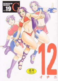 (C65) [SEMEDAIN G (Mokkouyou Bond, Mizutani Mint)] SEMEDAIN G WORKS Vol. 19 - Ichini (King of Fighters)