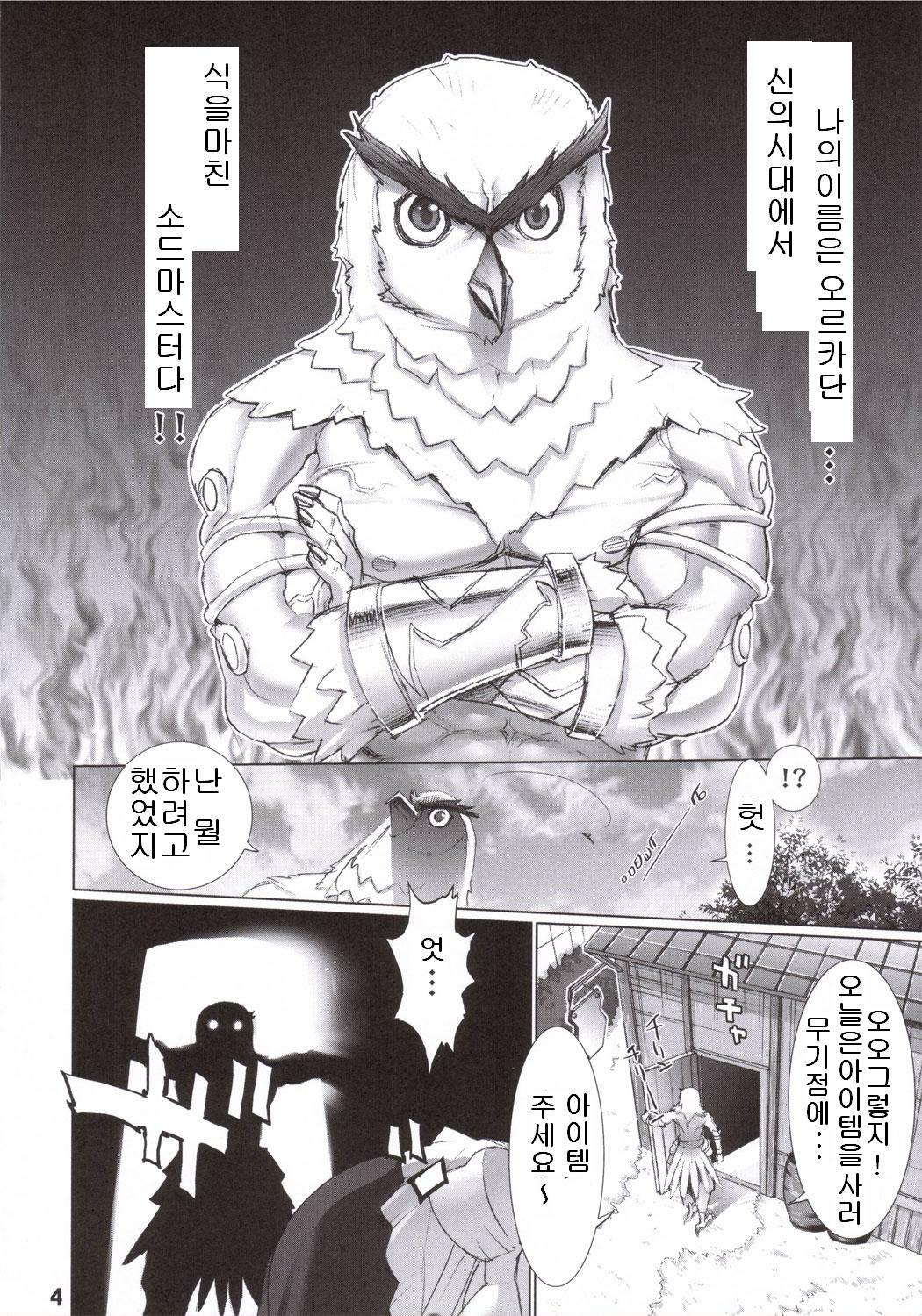 (SC30) [DIGITAL ACCEL WORKS (INAZUMA.)] FIREBIRD (SOULCALIBUR) [Korean] page 3 full