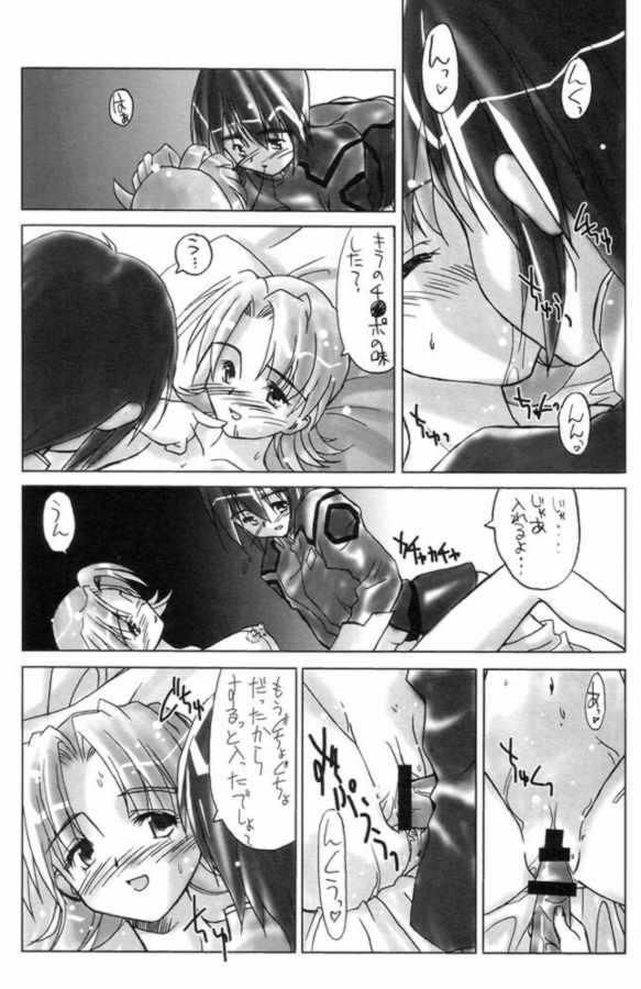 [Spirit Guide] G's (Gundam SEED) page 10 full