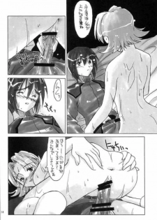 [Spirit Guide] G's (Gundam SEED) - page 13