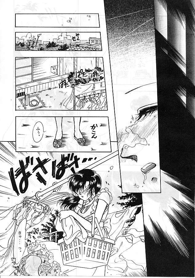 [Studio Boxer (Various)] HOHETO 5 (Ranma 1/2) page 13 full