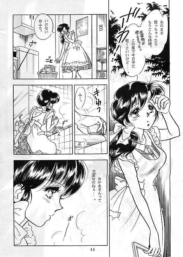 [Studio Boxer (Various)] HOHETO 5 (Ranma 1/2) page 14 full