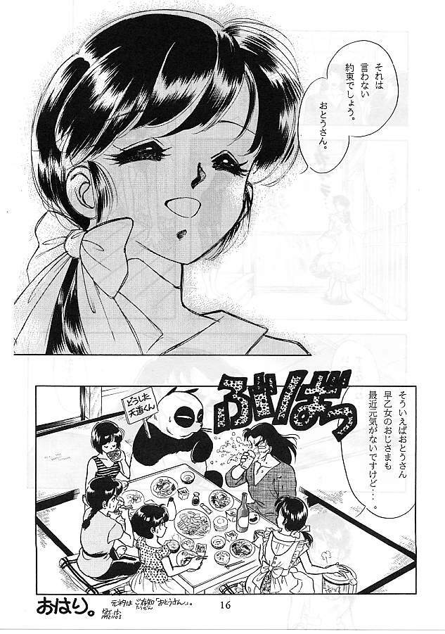 [Studio Boxer (Various)] HOHETO 5 (Ranma 1/2) page 16 full