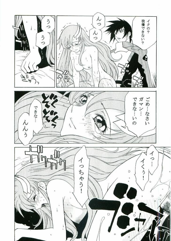 [Dragon Goya (Nagase Rurio)] DAIKICHIDOU DOREITAISITU (Gundam SEED) page 13 full