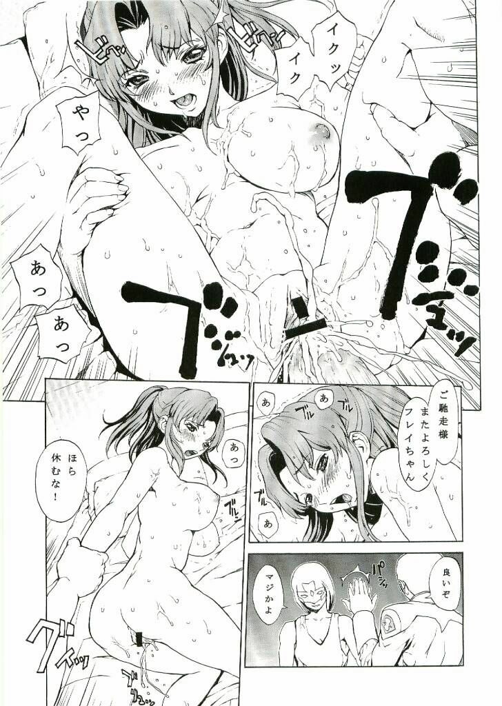 [Dragon Goya (Nagase Rurio)] DAIKICHIDOU DOREITAISITU (Gundam SEED) page 20 full