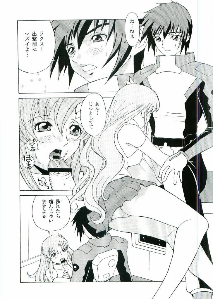 [Dragon Goya (Nagase Rurio)] DAIKICHIDOU DOREITAISITU (Gundam SEED) page 5 full