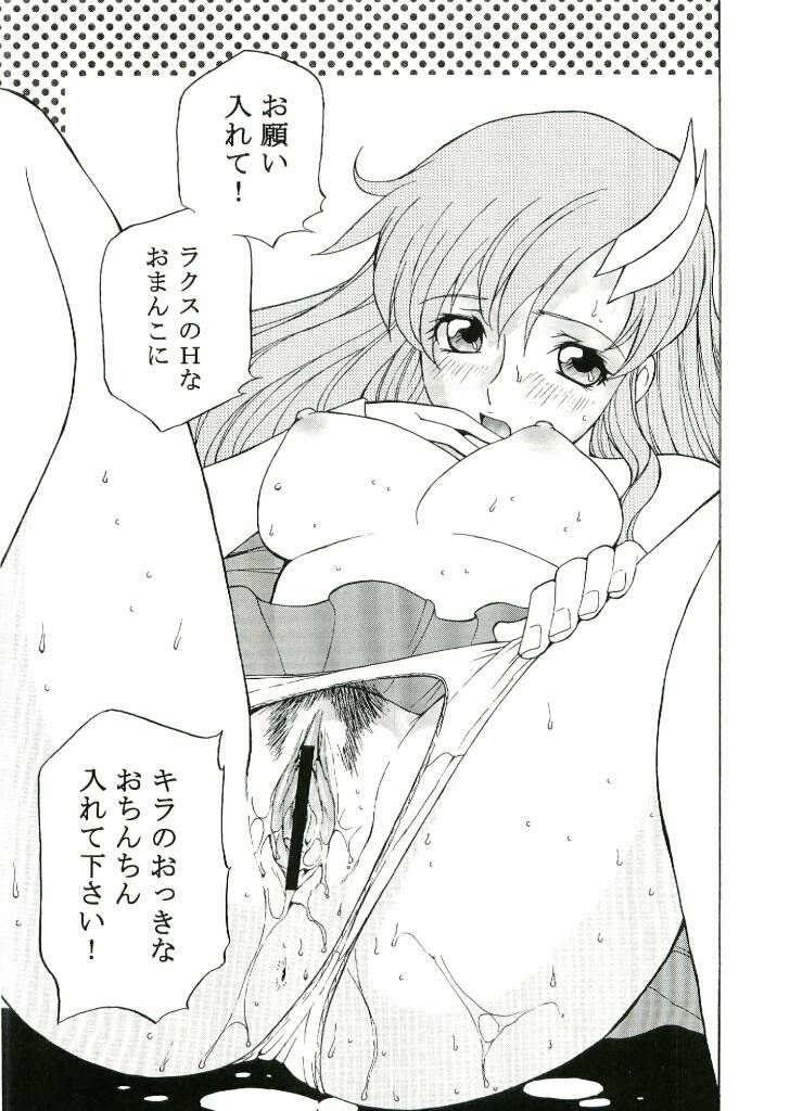 [Dragon Goya (Nagase Rurio)] DAIKICHIDOU DOREITAISITU (Gundam SEED) page 8 full