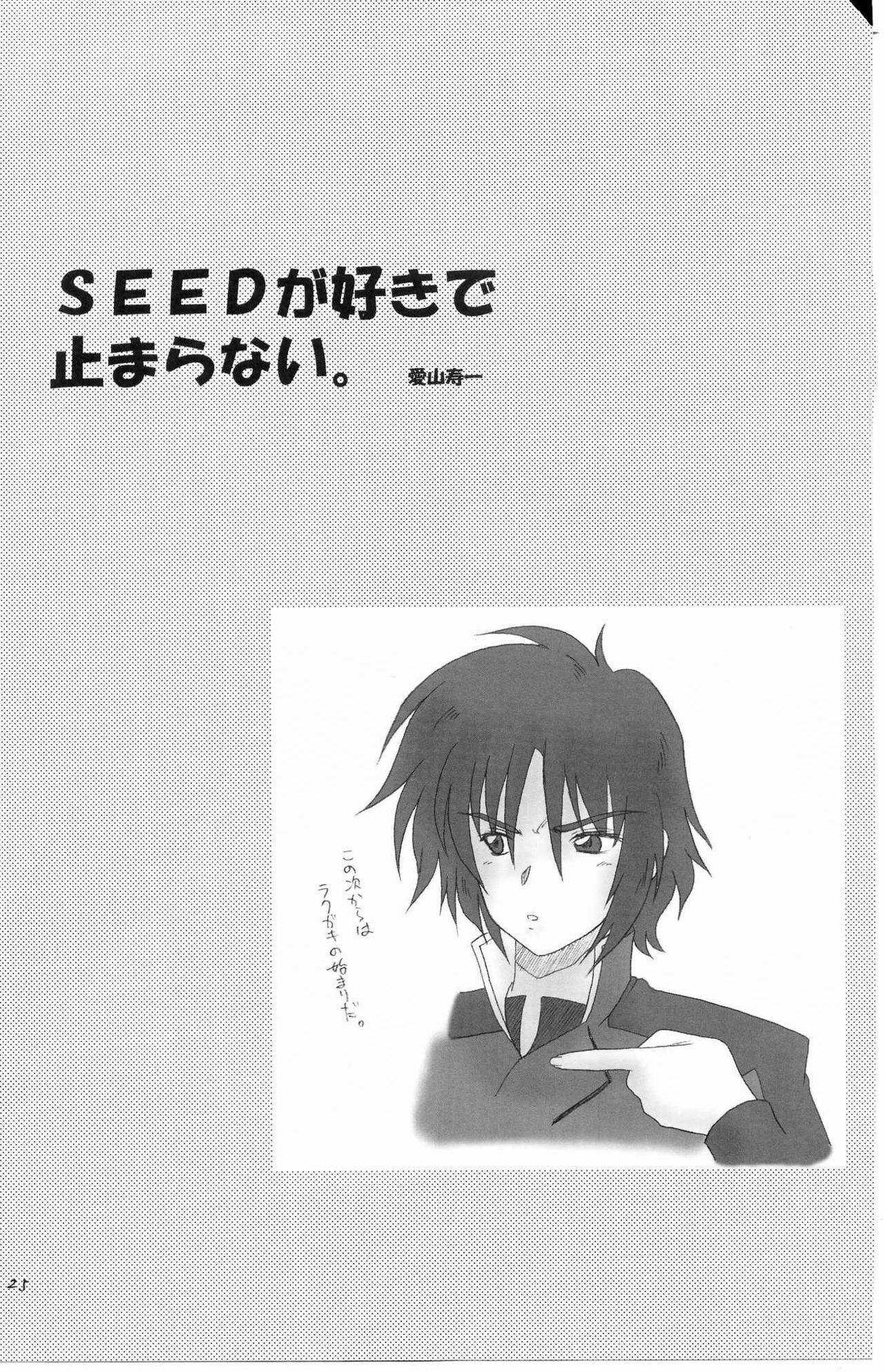 (CR37) [Oh!saka Spirits (Aiyama Toshikazu, Ugeppa, Uzu)] Uganda =Curry is a Drink= (Gundam SEED Destiny) page 24 full