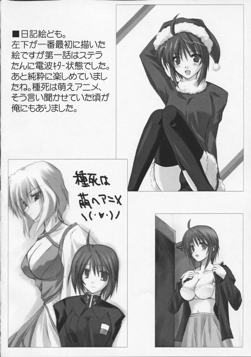 (CSP4) [Raiden Yashiki (Yamaura Tamaki)] Lunamaria Shugi | Principle of Lunamaria (Gundam SEED DESTINY) page 19 full
