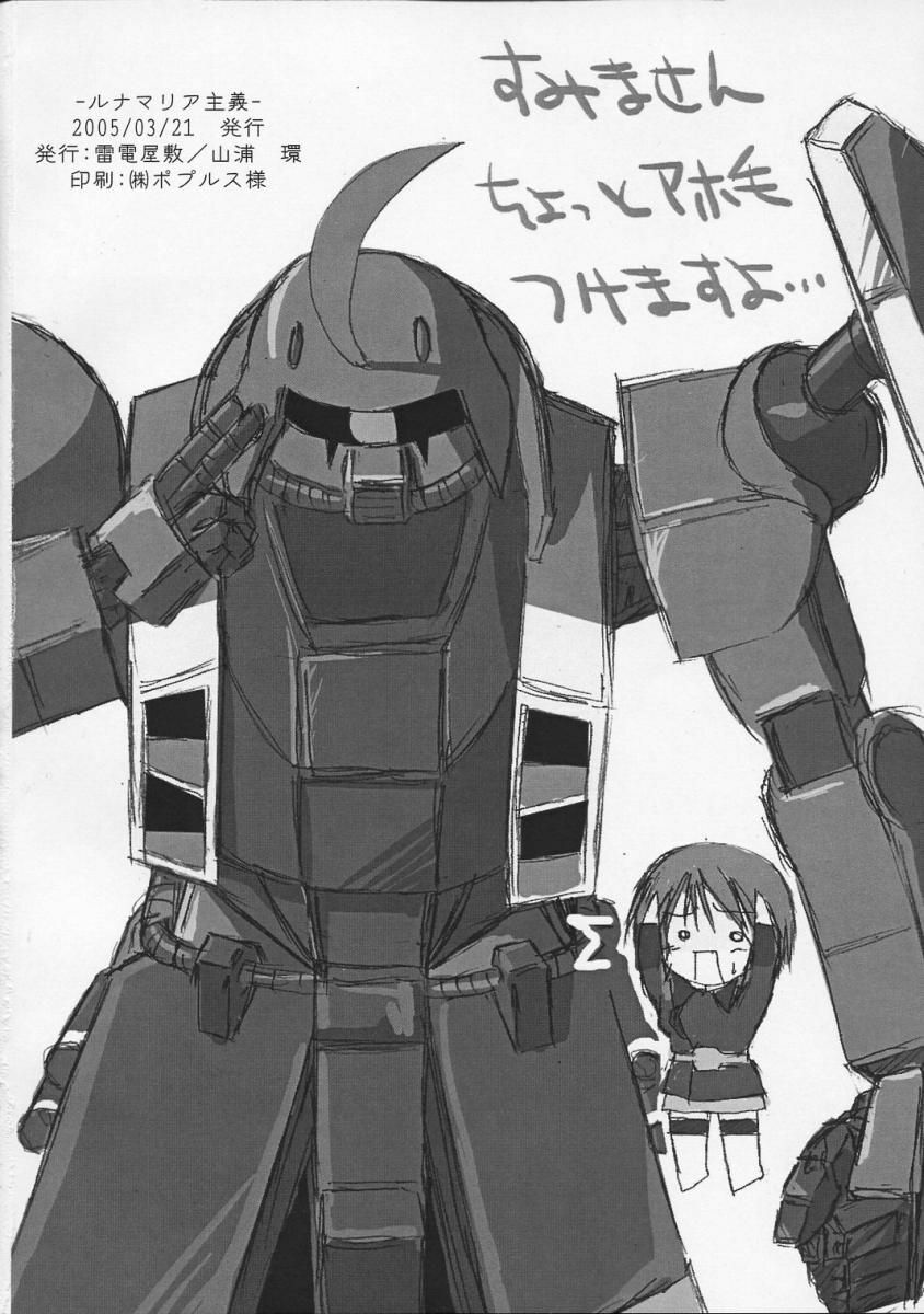 (CSP4) [Raiden Yashiki (Yamaura Tamaki)] Lunamaria Shugi | Principle of Lunamaria (Gundam SEED DESTINY) page 21 full