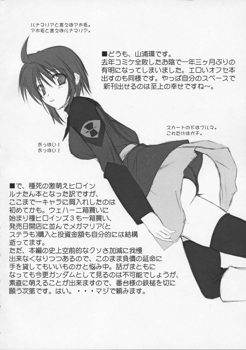 (CSP4) [Raiden Yashiki (Yamaura Tamaki)] Lunamaria Shugi | Principle of Lunamaria (Gundam SEED DESTINY) page 3 full