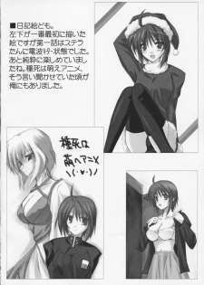 (CSP4) [Raiden Yashiki (Yamaura Tamaki)] Lunamaria Shugi | Principle of Lunamaria (Gundam SEED DESTINY) - page 19