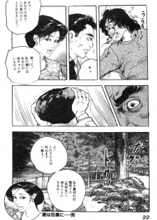 [Ken Tsukikage] Furin Tsuma Mujou - page 25