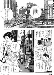 [Ken Tsukikage] Furin Tsuma Mujou - page 27