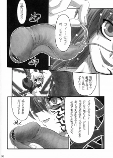 (C66) [NNZ DAN (Great Majin)] Kokushoku Vol.1 (Fate/stay night) - page 29