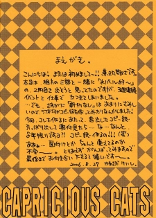 (COMITIA77) [Nouzui Majutsu, NO-NO'S (Kanesada Keishi, Kawara Keisuke)] Capricious Cats - page 3