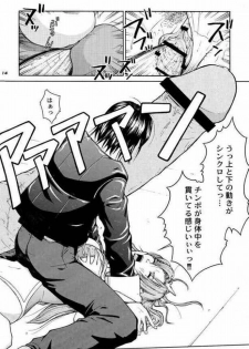 (CR37) [Hallenchi Planet (Tateno Tomoki)] TWT 3 (Mobile Suit Gundam SEED) - page 13