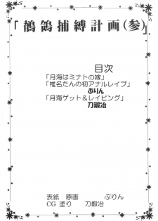 [St.Rio (MyMeroD!)] Sekirei Hobaku Keikaku 3 (Sekirei) - page 2