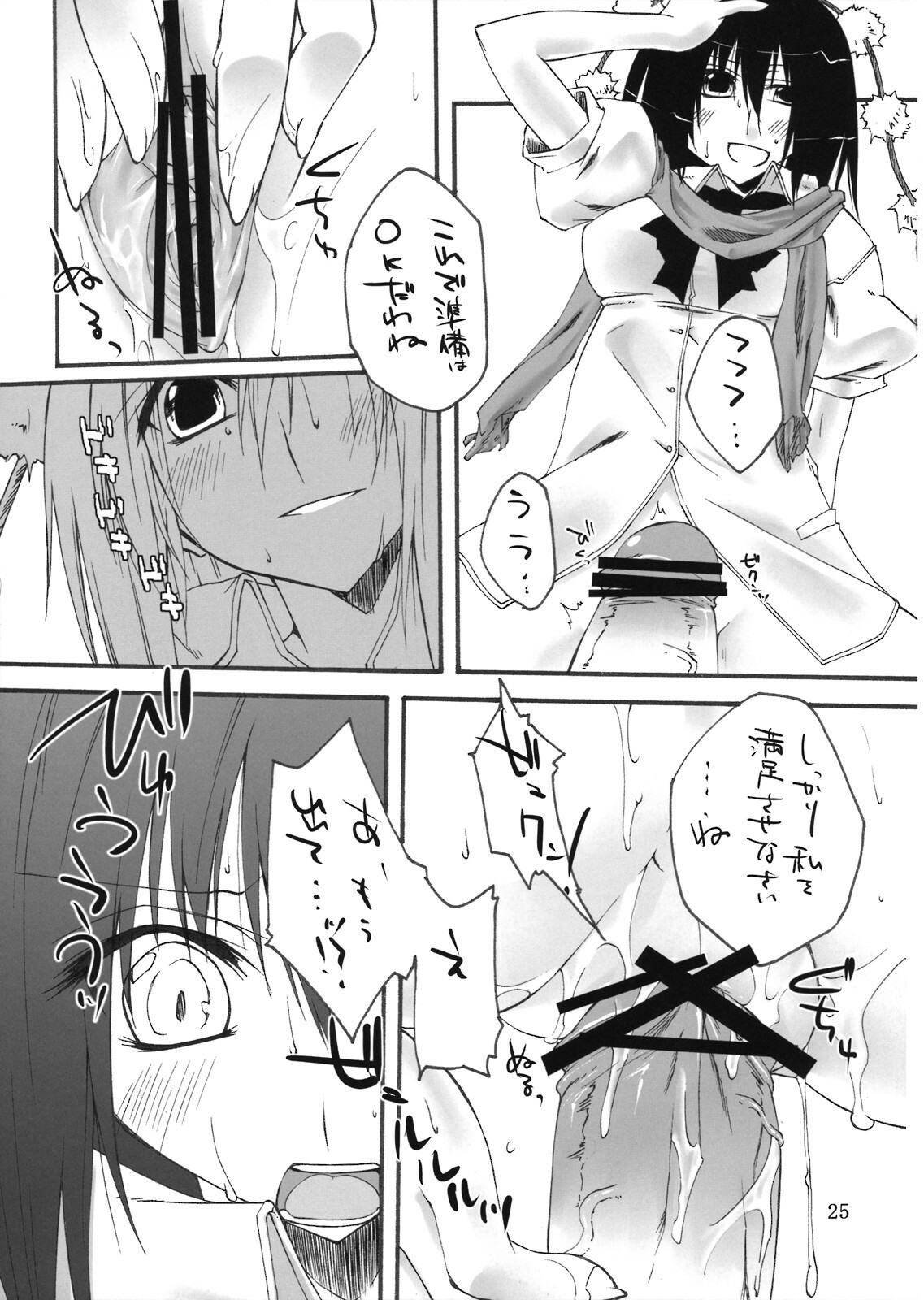 (C74) [Amadeus no Isan (Fujihara Shu, Aoba Shou)] Tengu no Kansatsu Nikki (Touhou Project) page 25 full