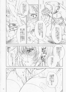(C72) [Gakuen Hanimokuo (Shinonome Maki)] Doll 2 (Final Fantasy XII) - page 34