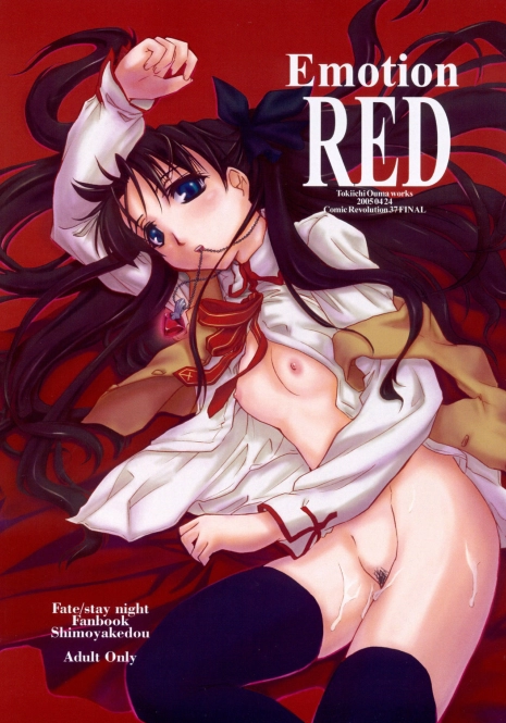 (CR37) [Shimoyakedou (Ouma Tokiichi)] Emotion RED (Fate/stay night) [English] [SaHa]